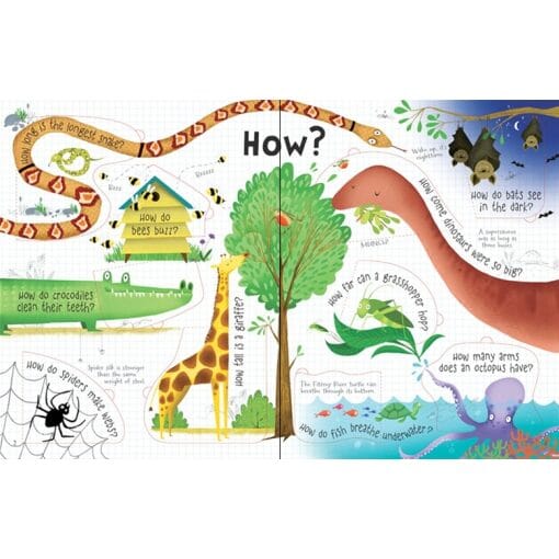 Lift-the-Flap Questions and Answers About Animals - A2Z Science & Learning  Toy Store