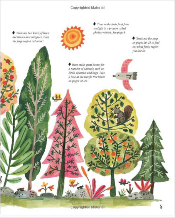 Nature All Around: Trees - A2Z Science & Learning Toy Store