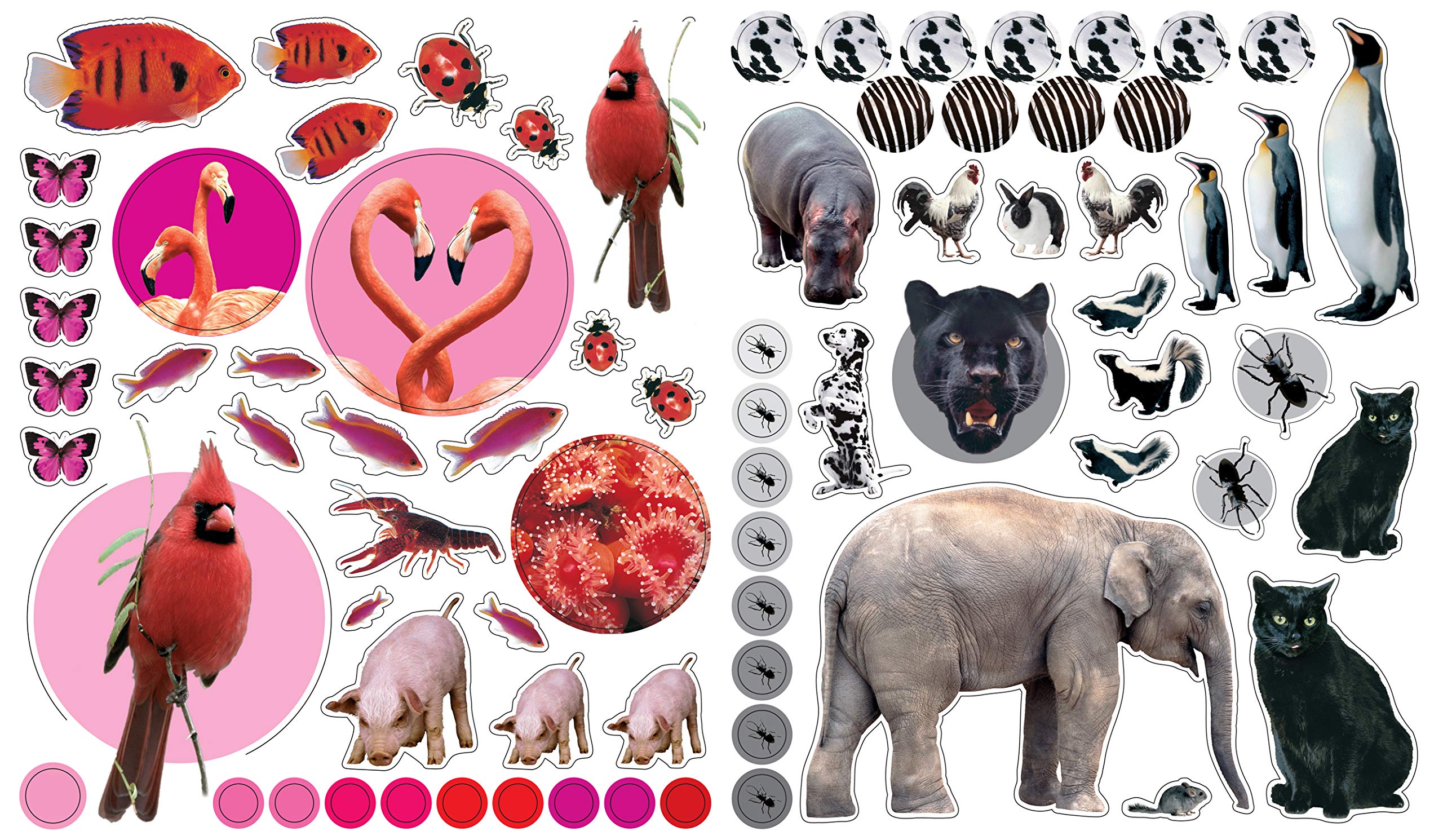 Eyelike Stickers: Animals - A2Z Science & Learning Toy Store
